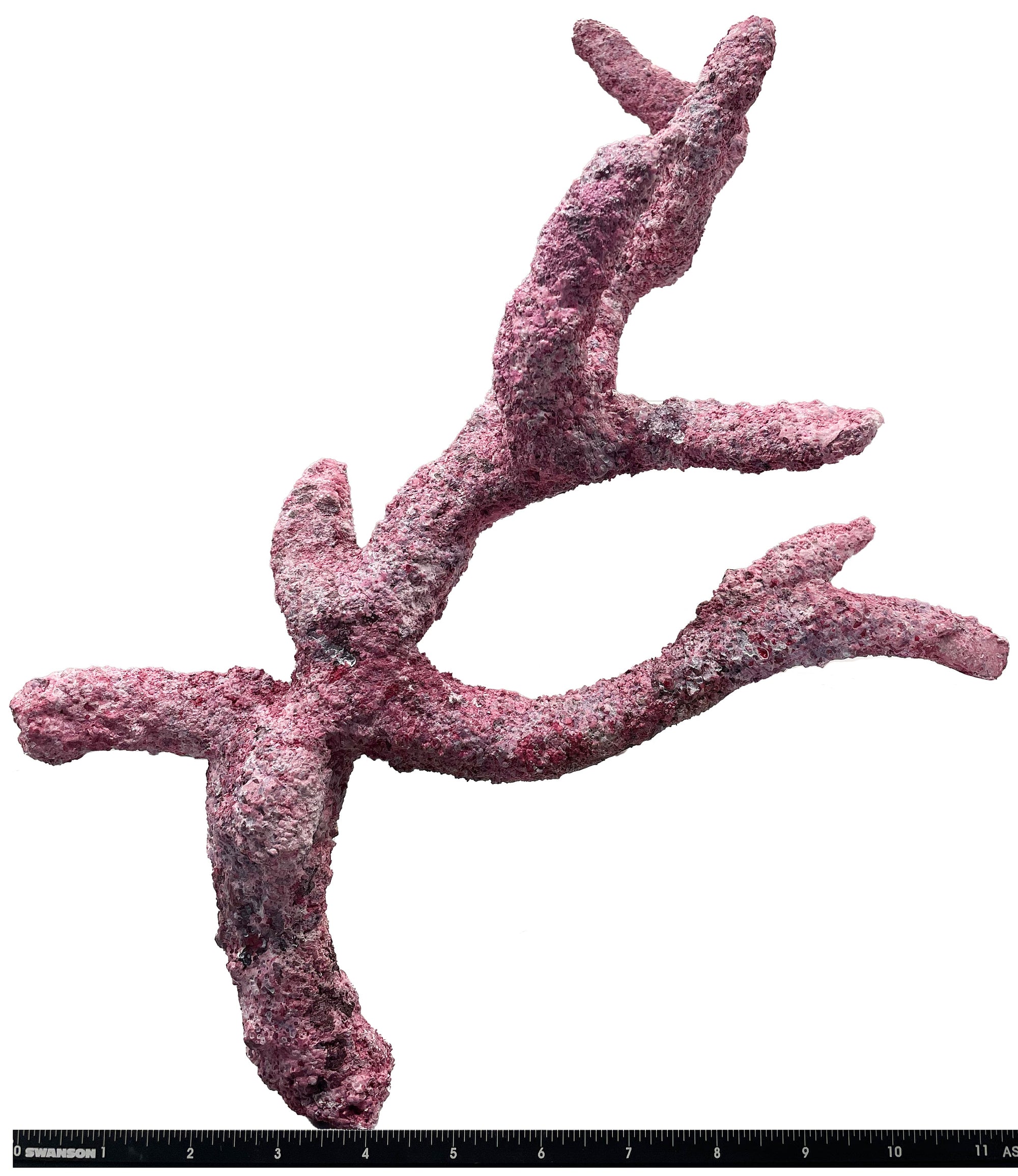 Tropic Eden Morroca Branch 3 Pieces - Pack #1