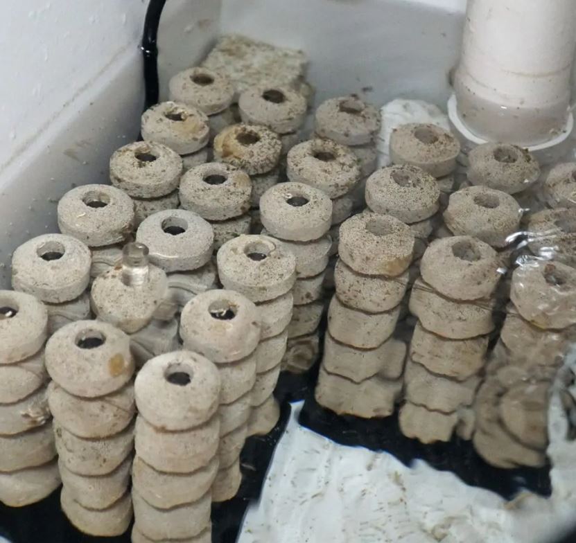 IceCap Bio-Sphere Media Tower