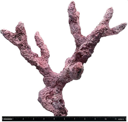 Tropic Eden Morroca Branch 3 Pieces - Pack #8