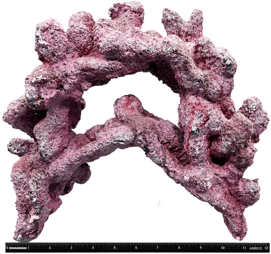 Tropic Eden Morroca Double Cave Rock - ONE x 6.5-7.5lb Piece