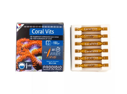 Prodibio Coral Vits 30/vials