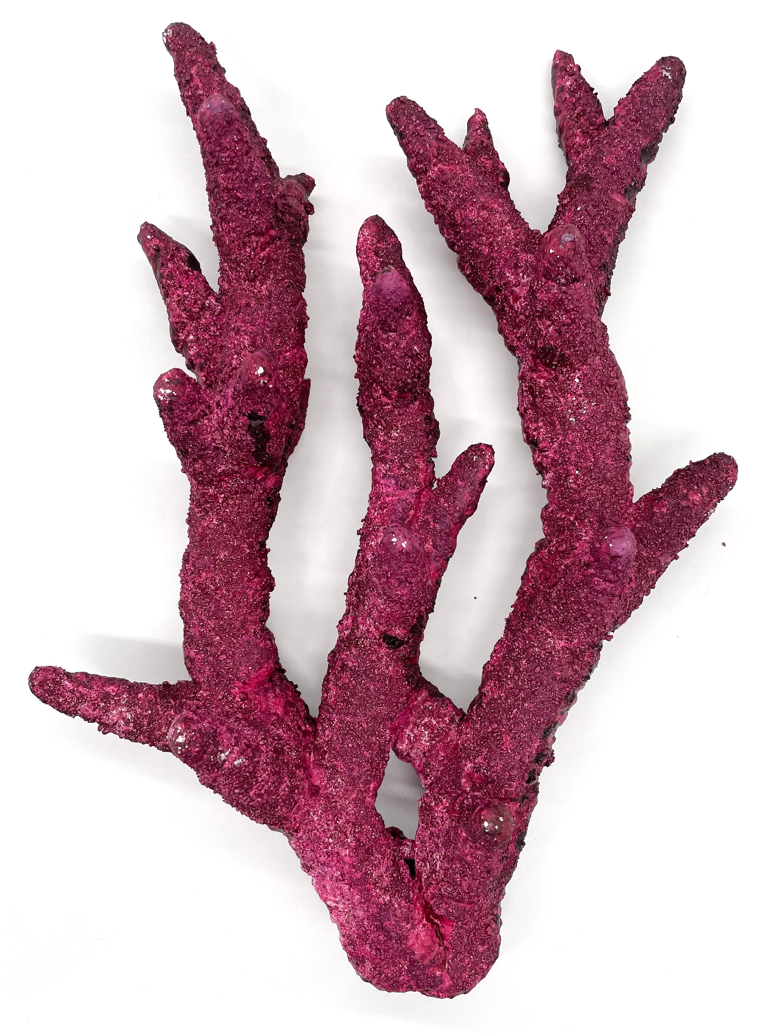 Real Reef Fancy BRANCH Rock (Sold Per LB)