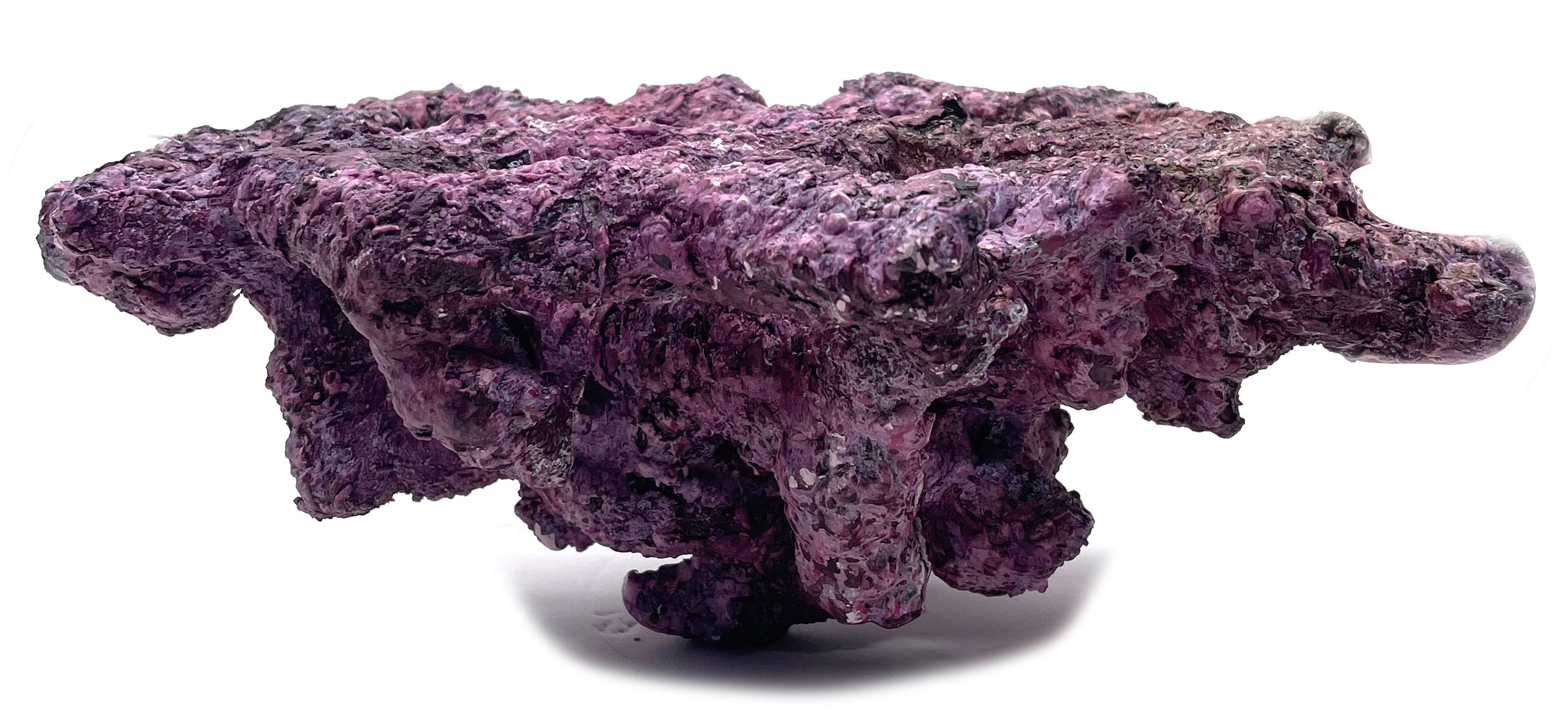 Tropic Eden Morroca Rock - Foundation Reef - Large - ONE Piece (approx 2lbs)