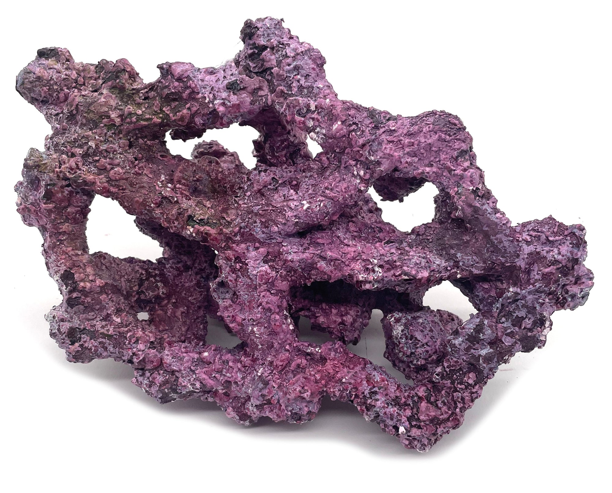 Tropic Eden Morroca Rock - Foundation Reef - Large - ONE Piece (approx 2lbs)