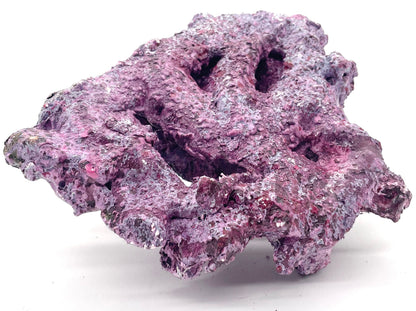 Tropic Eden Morroca Rock - Foundation Reef - Medium - ONE Piece (approx 1lbs)