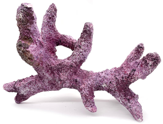 Tropic Eden Morroca Rock - Kraken Branch 14"-15" ONE Piece Approx 4 lbs