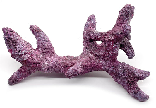 Tropic Eden Morroca Rock - Kraken Branch 17"-19" ONE Piece Approx 6 lbs