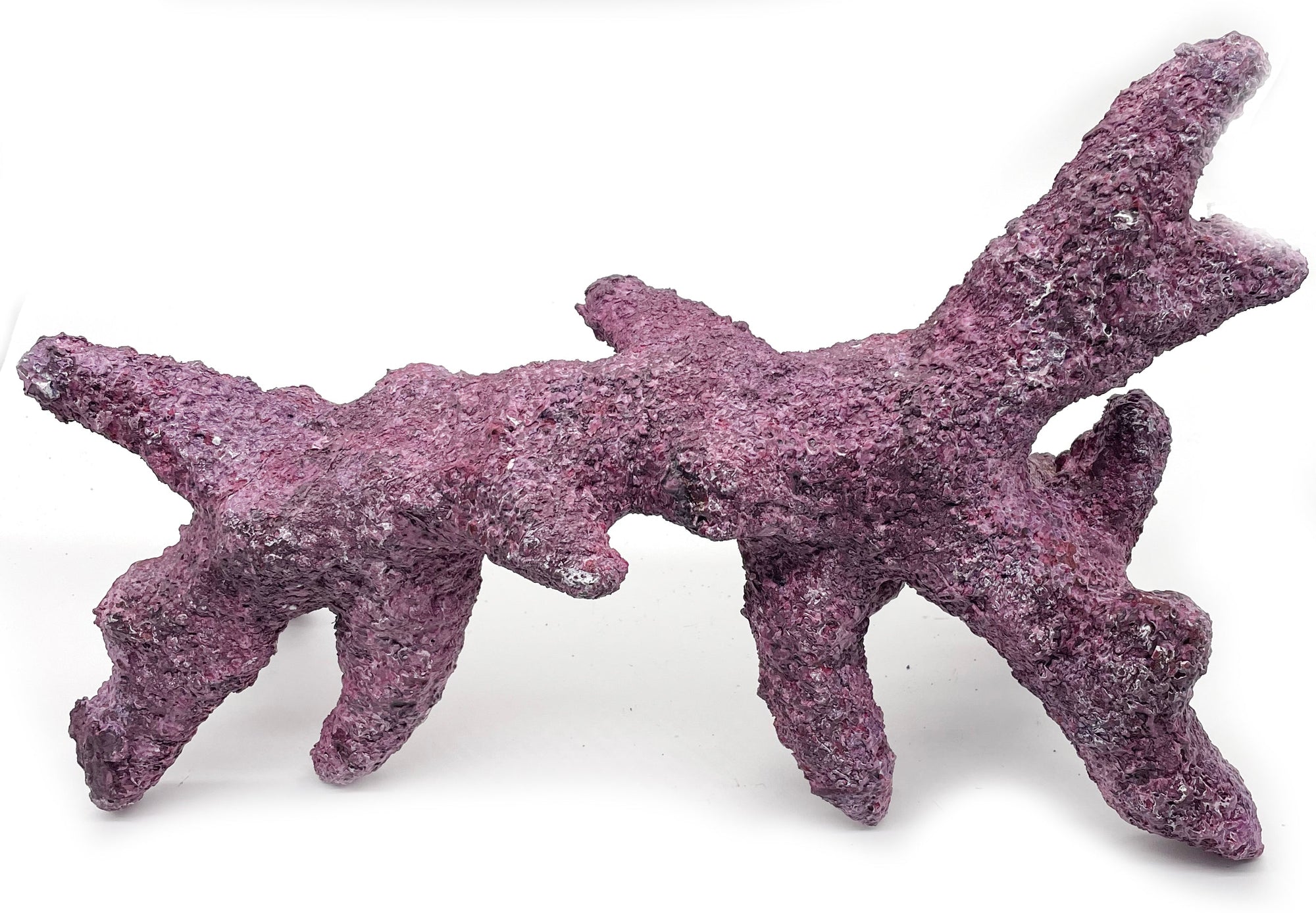 Tropic Eden Morroca Rock - Kraken Branch 17"-19" ONE Piece Approx 6 lbs