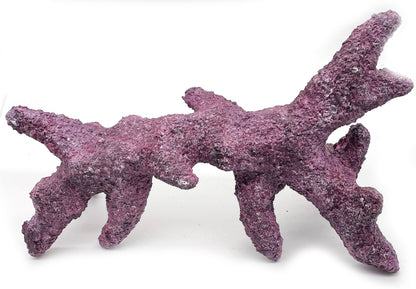 Tropic Eden Morroca Rock - Kraken Branch 17"-19" ONE Piece Approx 6 lbs