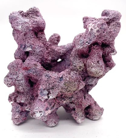 Tropic Eden Morroca Irregular Rock 2 Extension - Med - FOUR Pieces Rock Box (approx 16lbs)