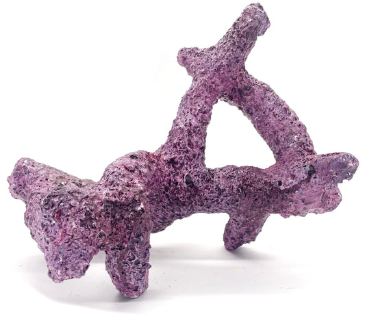 Tropic Eden Morroca Rock - Irregular Branch 10-12" (approx 3lbs)