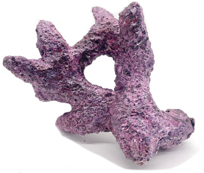 Tropic Eden Morroca Rock - Irregular Branch 8-10" (approx 2lbs)
