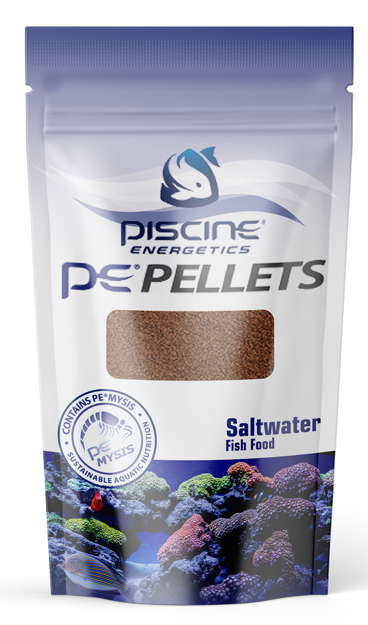 Piscine Energetics Saltwater 1mm - 4oz/113g