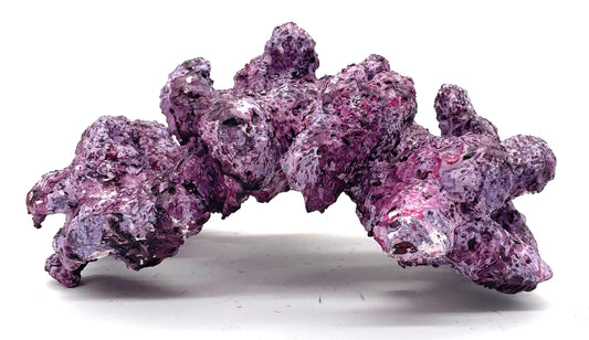 Tropic Eden Morroca Arch Rock  -  Small - ONE Piece (1.5lbs)