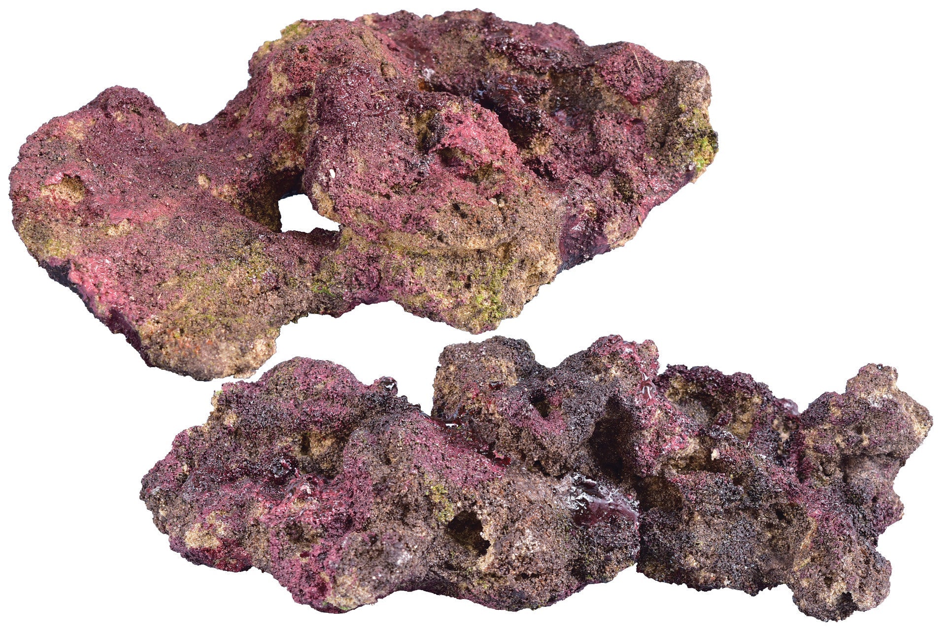 Ecoscape Reef Rock - Mix D