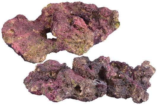 Ecoscape Reef Rock - Mix D