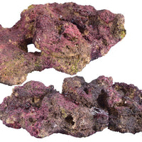 Ecoscape Reef Rock - Mix D