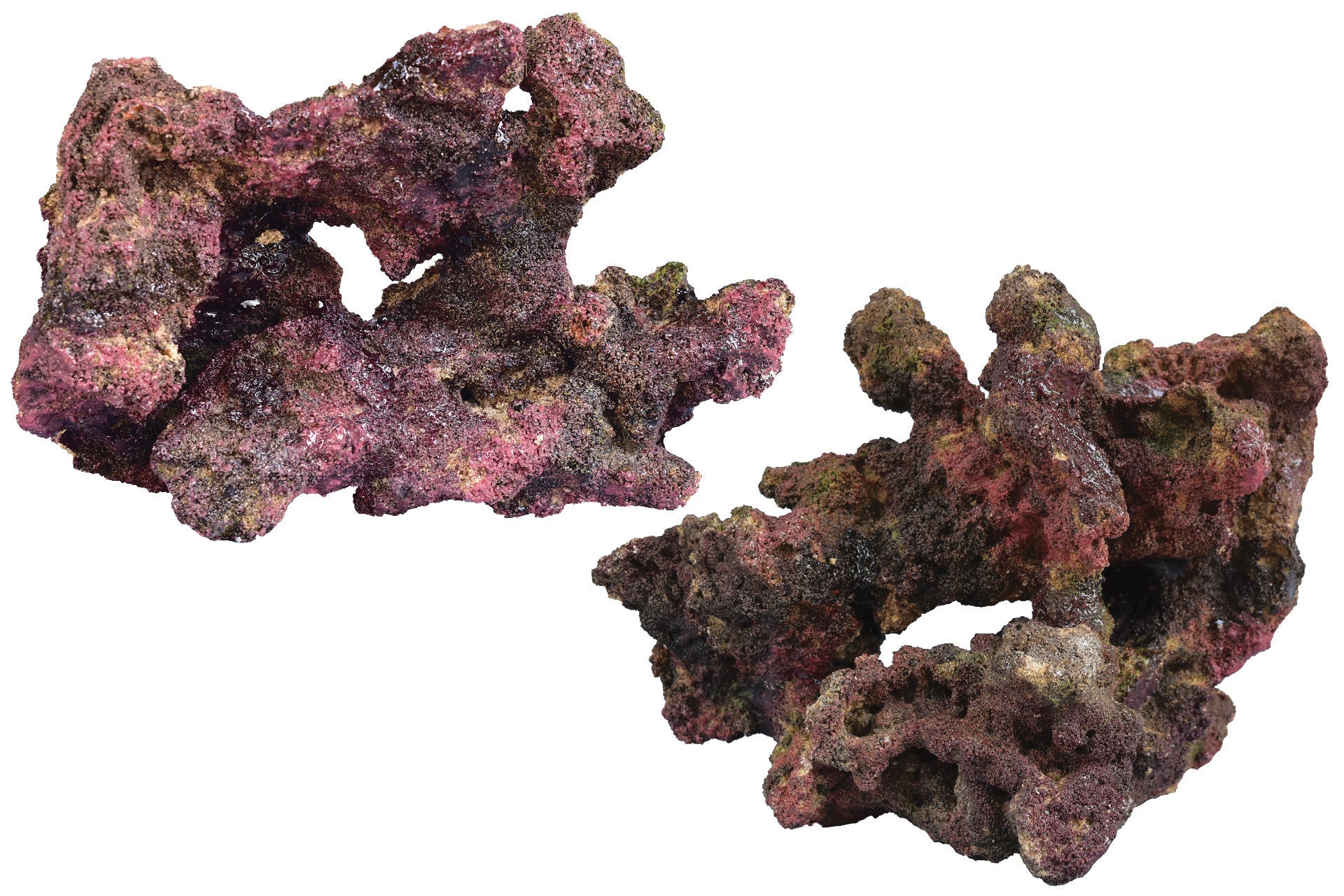 Ecoscape Reef Rock - Mix D