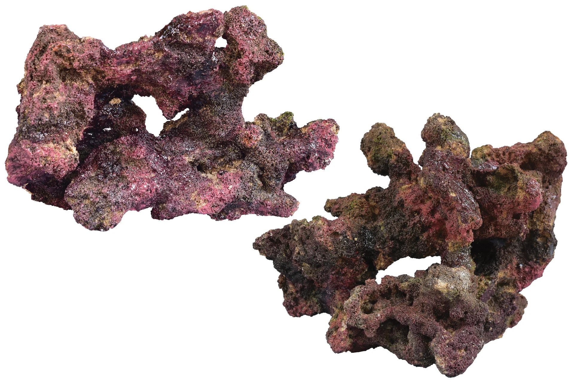 Ecoscape Reef Rock - Mix D