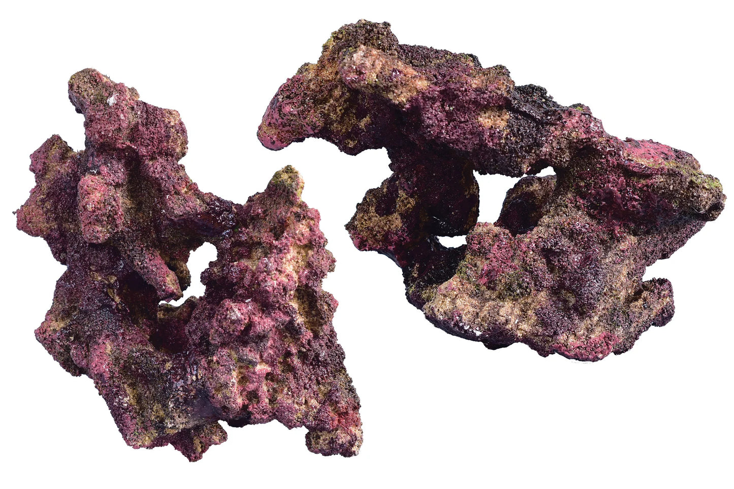 Ecoscape Reef Rock - Mix D