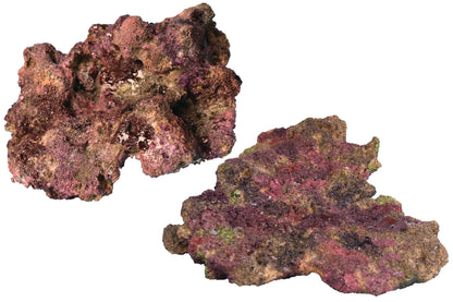 Ecoscape Reef Rock - Mix F (Shelf)