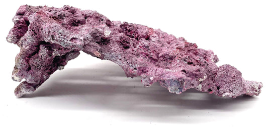 Tropic Eden Morroca Pedestal Shelf Rock - Med - ONE Piece (Approx 5lbs)