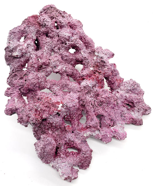 Tropic Eden Morroca Pedestal Shelf Rock - Med - ONE Piece (Approx 5lbs)