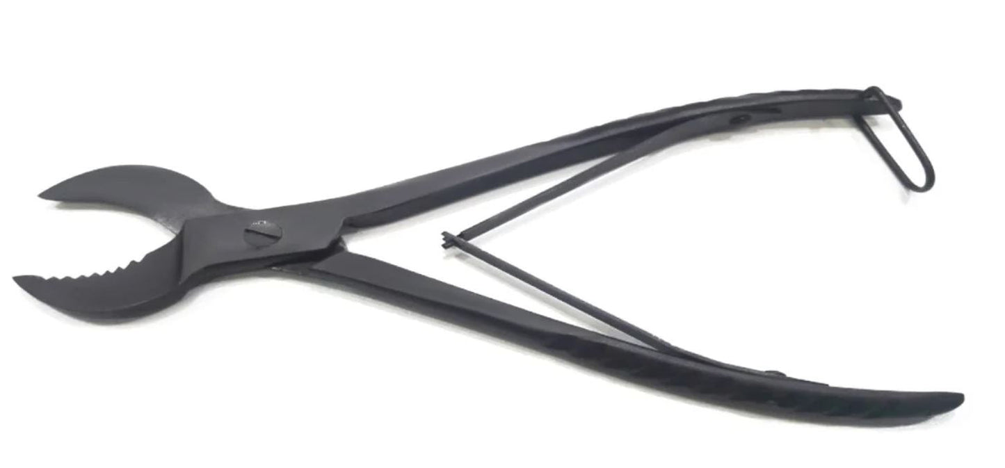 Premium Aquatics Large Curved Blade SPS Coral Bone Cutter - Black Oxidized
