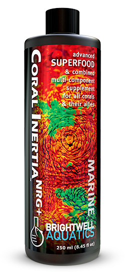 Brightwell Aquatics Coral Inertia NRG Plus Coral Super Food - 250 ml