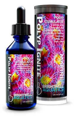 Brightwell Aquatics Polyp Ignite - 125 ml