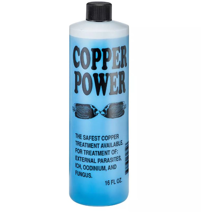 Copper Power Blue 16oz