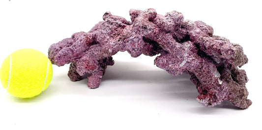 Tropic Eden Morroca Single Cave Rock -  ONE Piece approx 2-2.5lb Piece - Original Batch