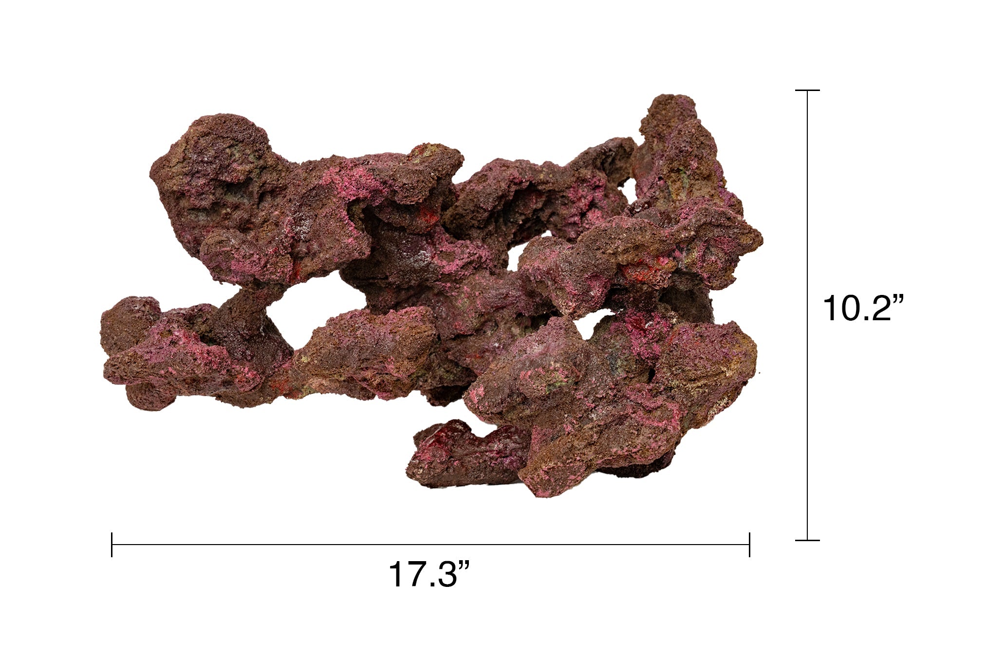 Ecoscape Reef Centerpiece 07