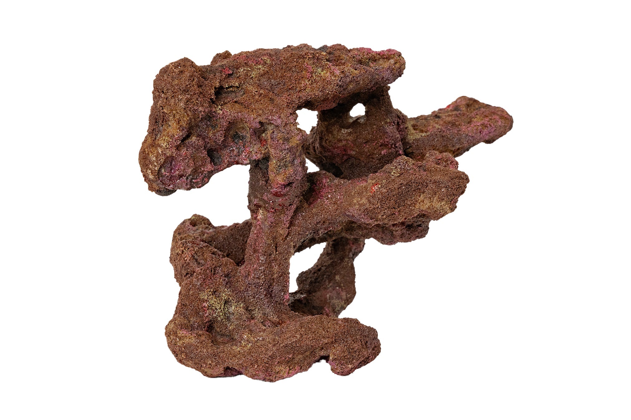 Ecoscape Reef Centerpiece 09