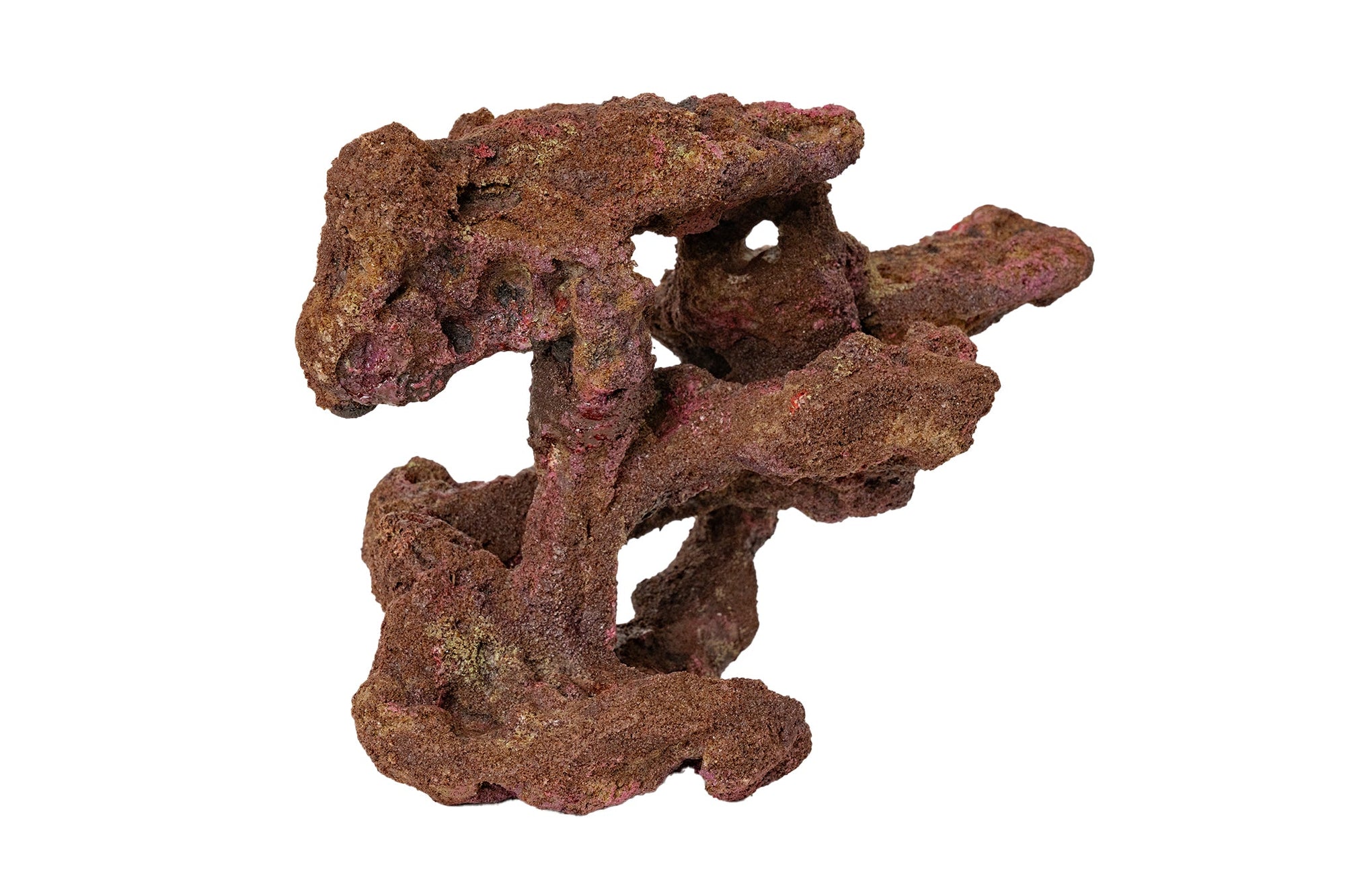 Ecoscape Reef Centerpiece 09