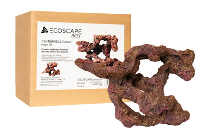 Ecoscape Reef Centerpiece 09