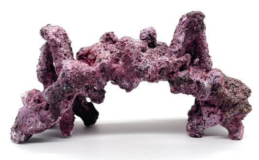 Tropic Eden Morroca Rock - Twin Peak Cave - One Piece (2.25-2.5lbs)