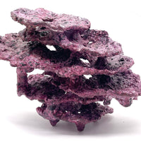 Tropic Eden Morroca MontiStack Reef Rock - Large 9x5x7.5"