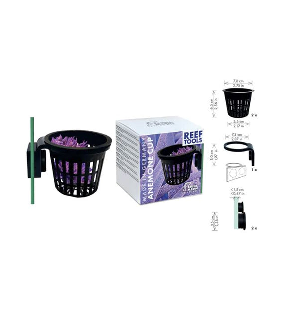 Fauna Marin Anemone Cup