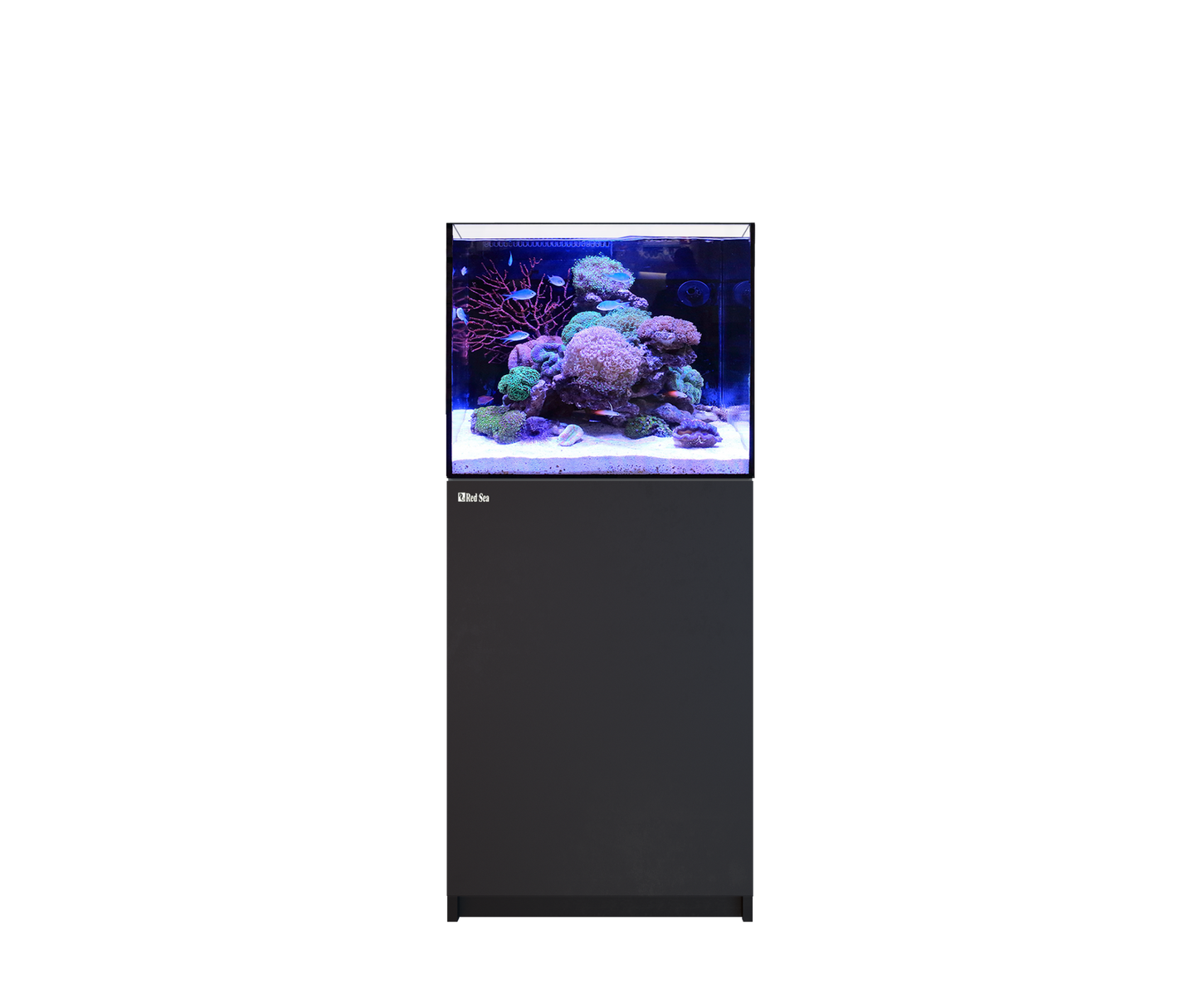 Red Sea REEFER 170 G3 Black