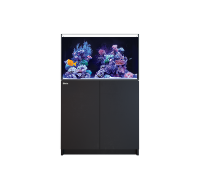Red Sea REEFER 250 G3 Black