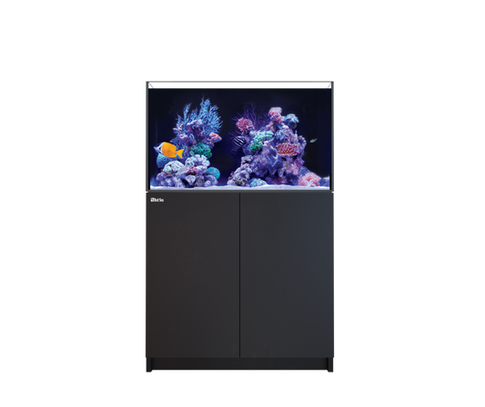 Red Sea REEFER 250 G3 Black