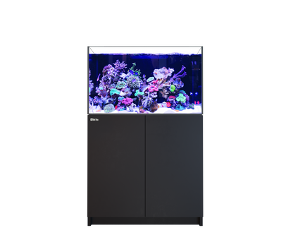 Red Sea REEFER 300 G3 Black