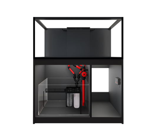 Red Sea REEFER 425 G3 Black