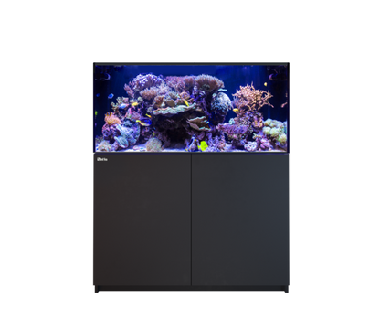 Red Sea REEFER 425 G3 Black