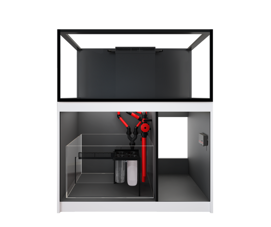 Red Sea REEFER 425 G3 White