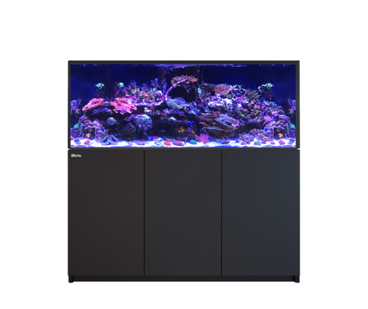 Red Sea REEFER 625 G3 Black