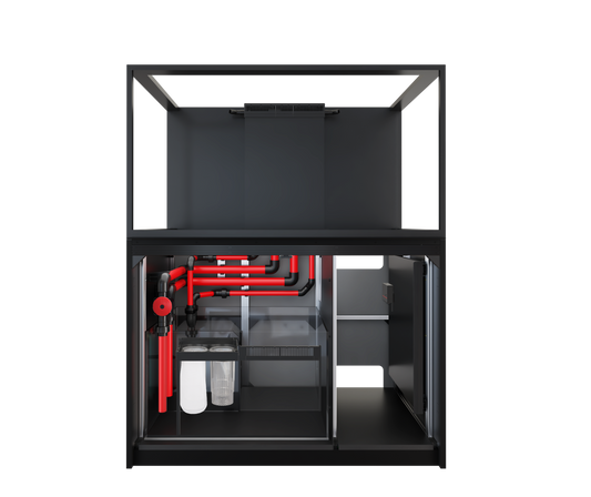 Red Sea REEFER S-550 G3 Black