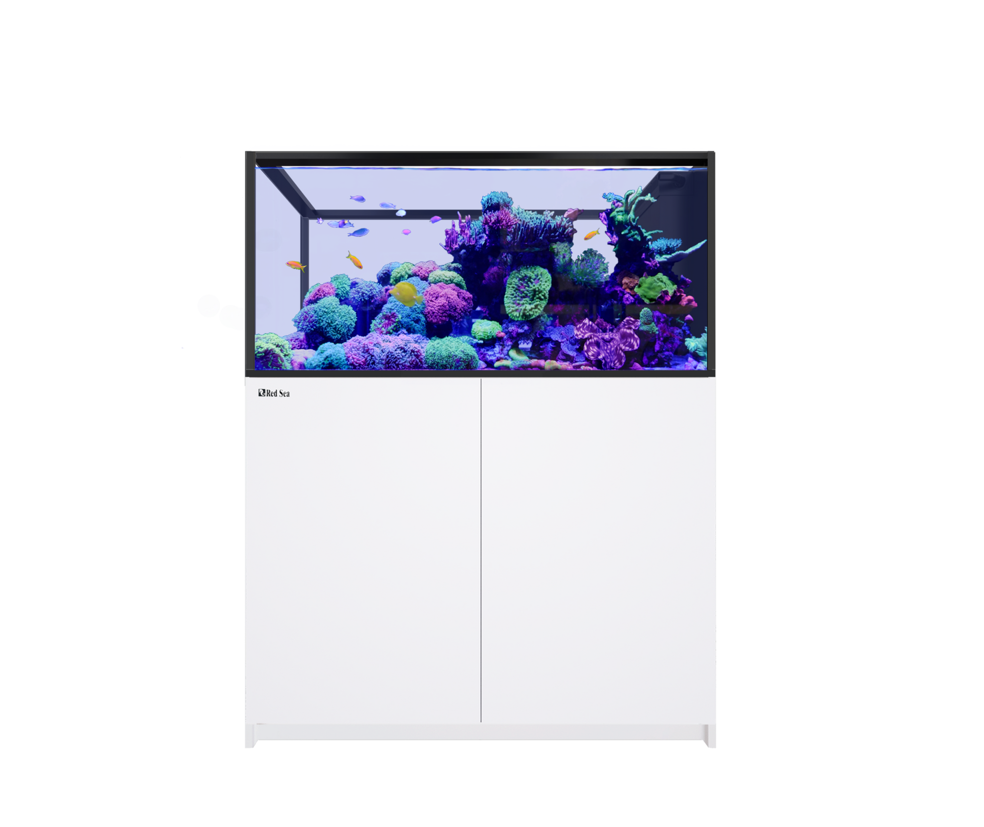 Red Sea REEFER Peninsula 500 G3 White