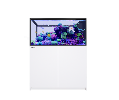 Red Sea REEFER Peninsula 500 G3 White